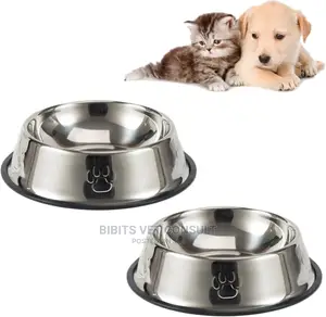 Cat Puppies Feeding Bowl Antiskid