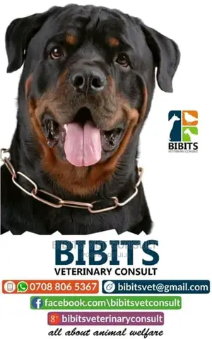 Veterinary Clinic Pet Shop