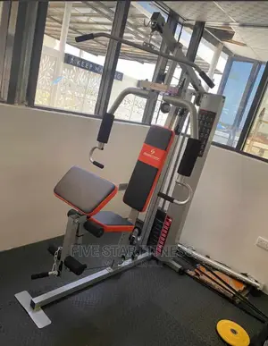 Original Steel One Station Gym