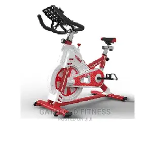702 Spin Bike