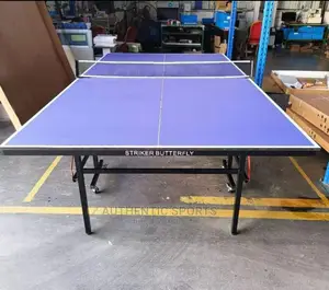Butterfly 15mm Indoor Table Tennis Board With Accessories