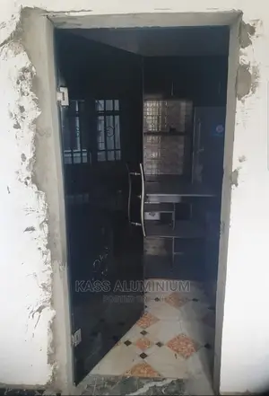 Single Dark Glass Door
