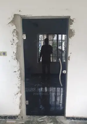 Single Dark Glass Door