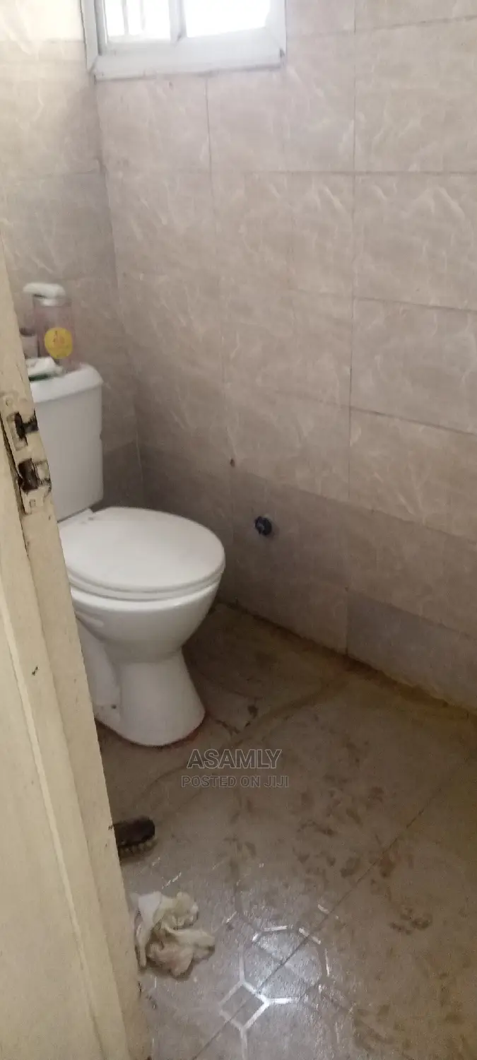 Professional Cleaning Services