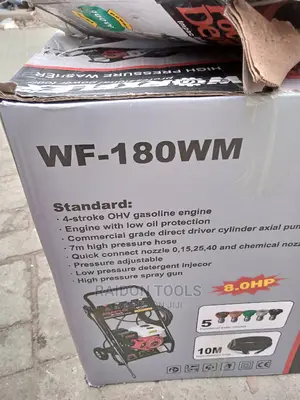Pressure Washer, Worxflex 8 .0hp