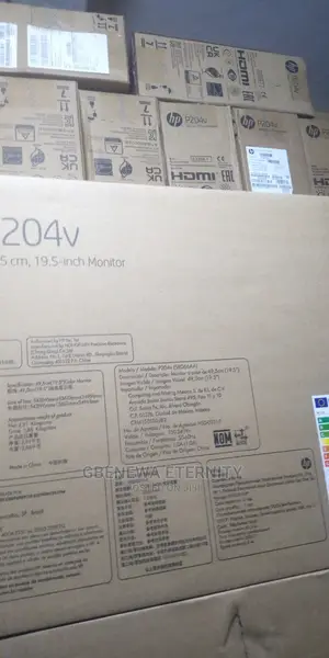 HP P204V Monitor