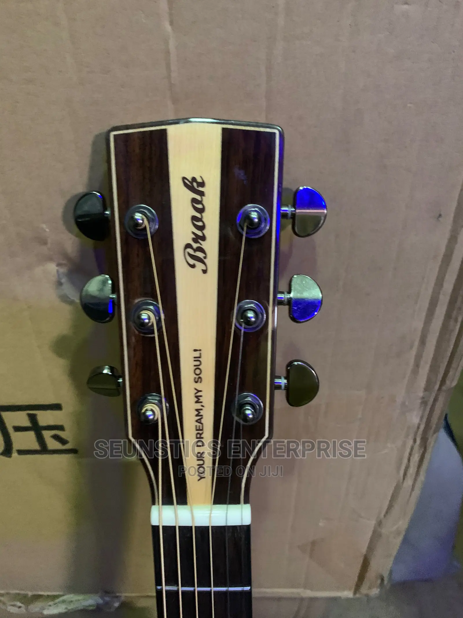 Quality Brook Electro Acoustic Guitar