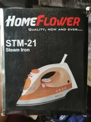 Homeflower Steam Iron STM-21