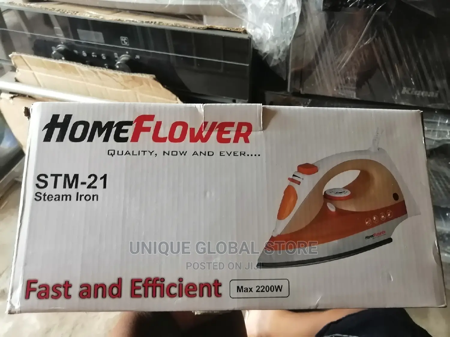 Homeflower Steam Iron STM-21
