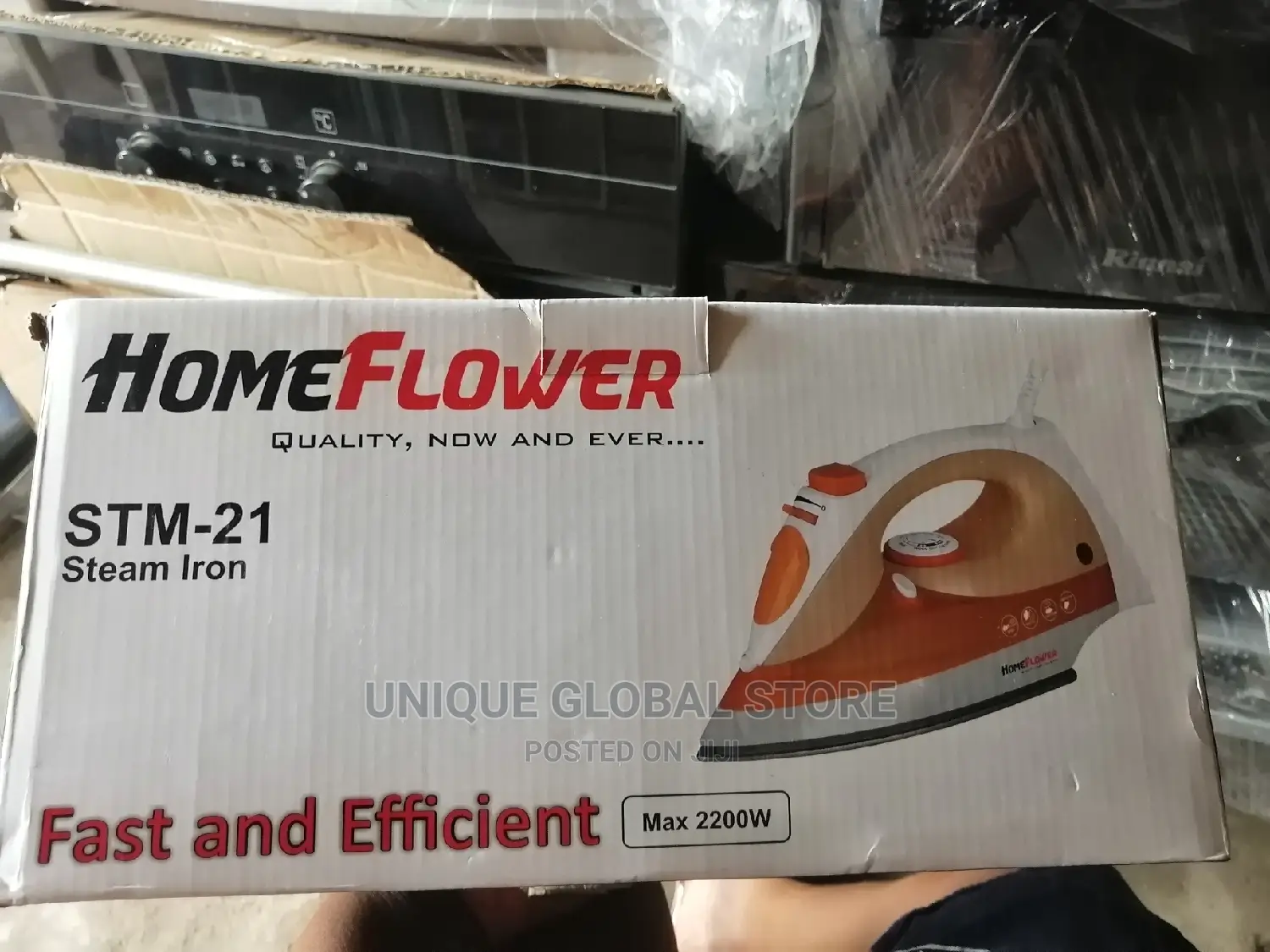 Homeflower Steam Iron STM-21