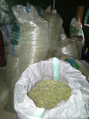 Moringa Leaves and Leaf Powder