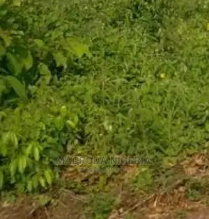 1800sqm of Land Available for Sale at Ikeja GRA