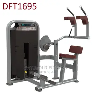 DFT1695 Abdominal Crunch Back Extension Machine
