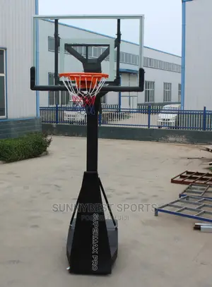 Pro Basketball Stand Standard