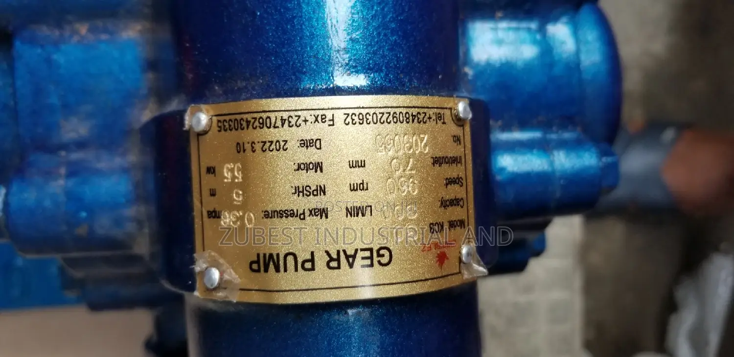 Gear Oil Pump Complete 10hp New One