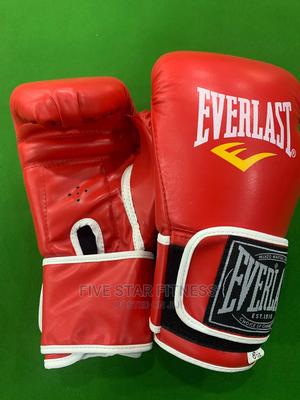 Everlast Boxing Gloves 002