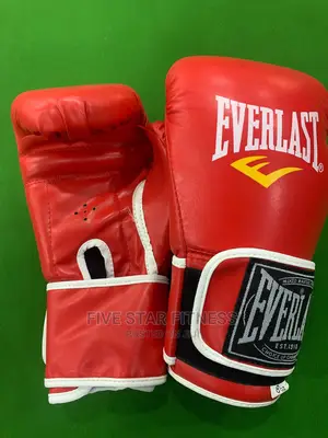 Everlast Boxing Gloves 002