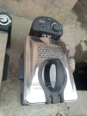 Electric Deep Fryer
