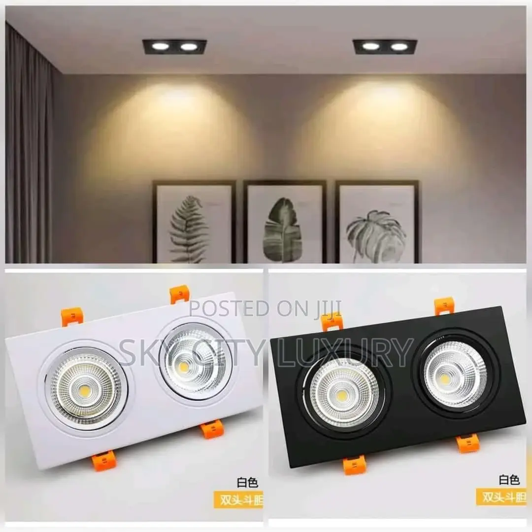 Led Double Sports Light