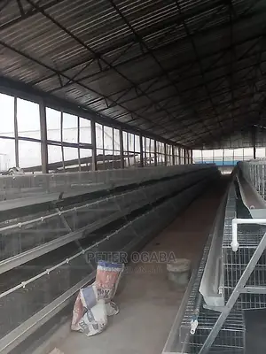 Photo - Poultry Farm Equipment