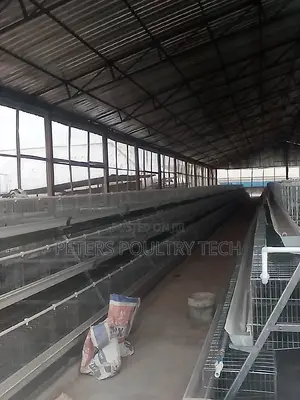 Poultry Farm Equipment