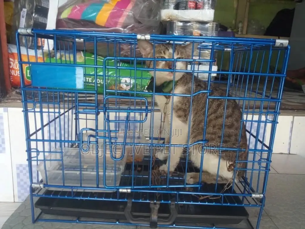 Dog,Cat, Rabbit Collapsible Cages All Sizes