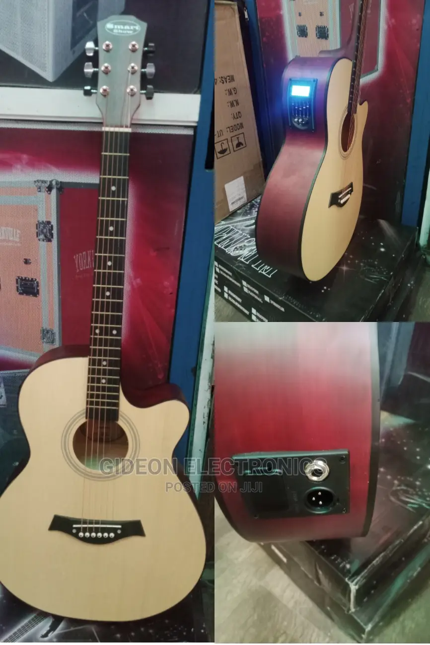 Semi Acoustic Guitar.