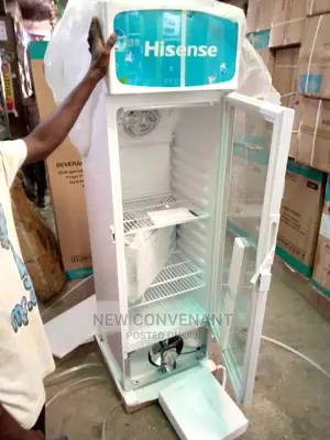 Hisense Chiller FL 30 Fc 222L Beverage