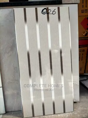 30 by 60 Quality Tiles for Modern House