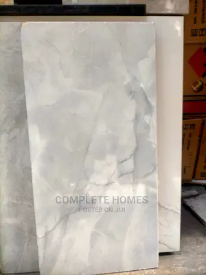 30 by 60 Quality Tiles for Modern House