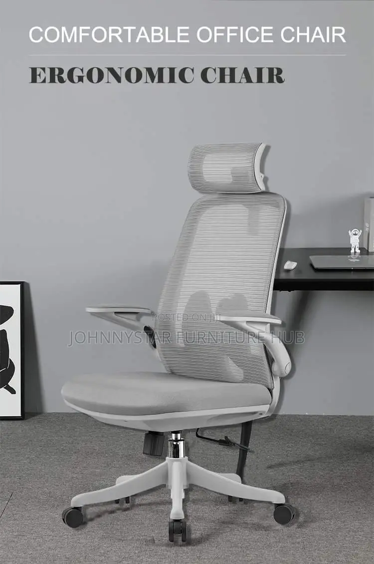 Ergonomic Office Chairs