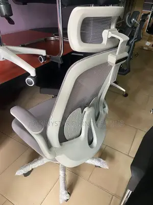 Ergonomic Office Chairs