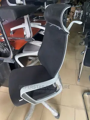 Ergonomic Office Chairs