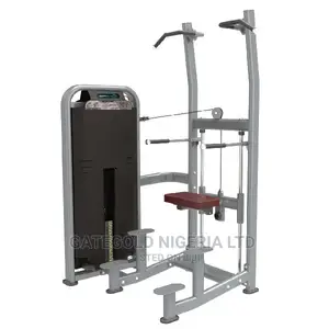 DFT1609 Weight Assisted Chin+ Dip