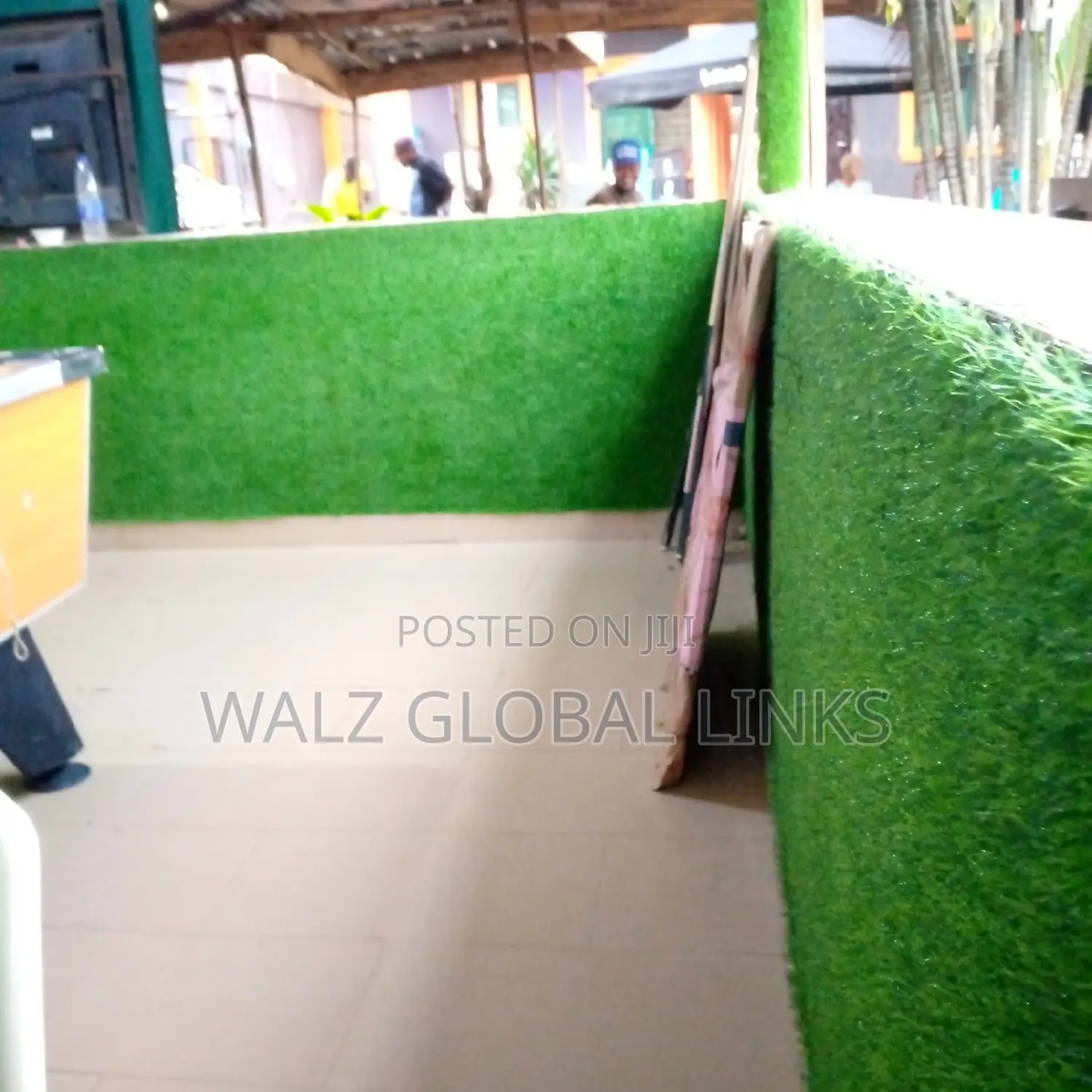 Carpet Grass