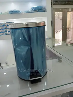 Stainless Pedal Car Dustbin,Waste