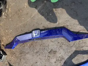 Door Pad 2021 Honda Accord