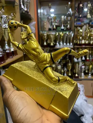 Goalkeeper Awards