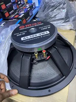 Omax 15inch Speaker