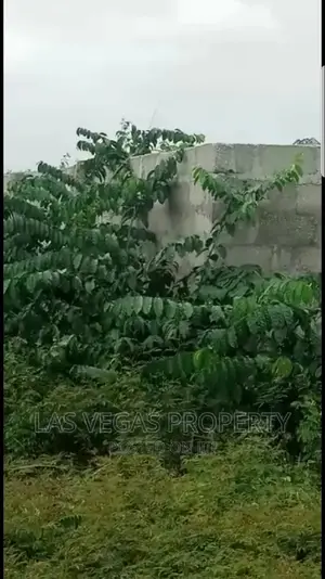 4 Plots of Land Fenced for Sale at Obinze After Redemption