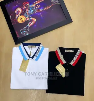 Luxury Collar Neck Polo