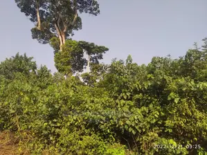 14000 Acres Commercial Land for Sale