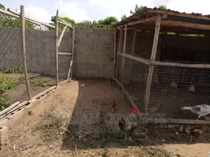 Residential Land