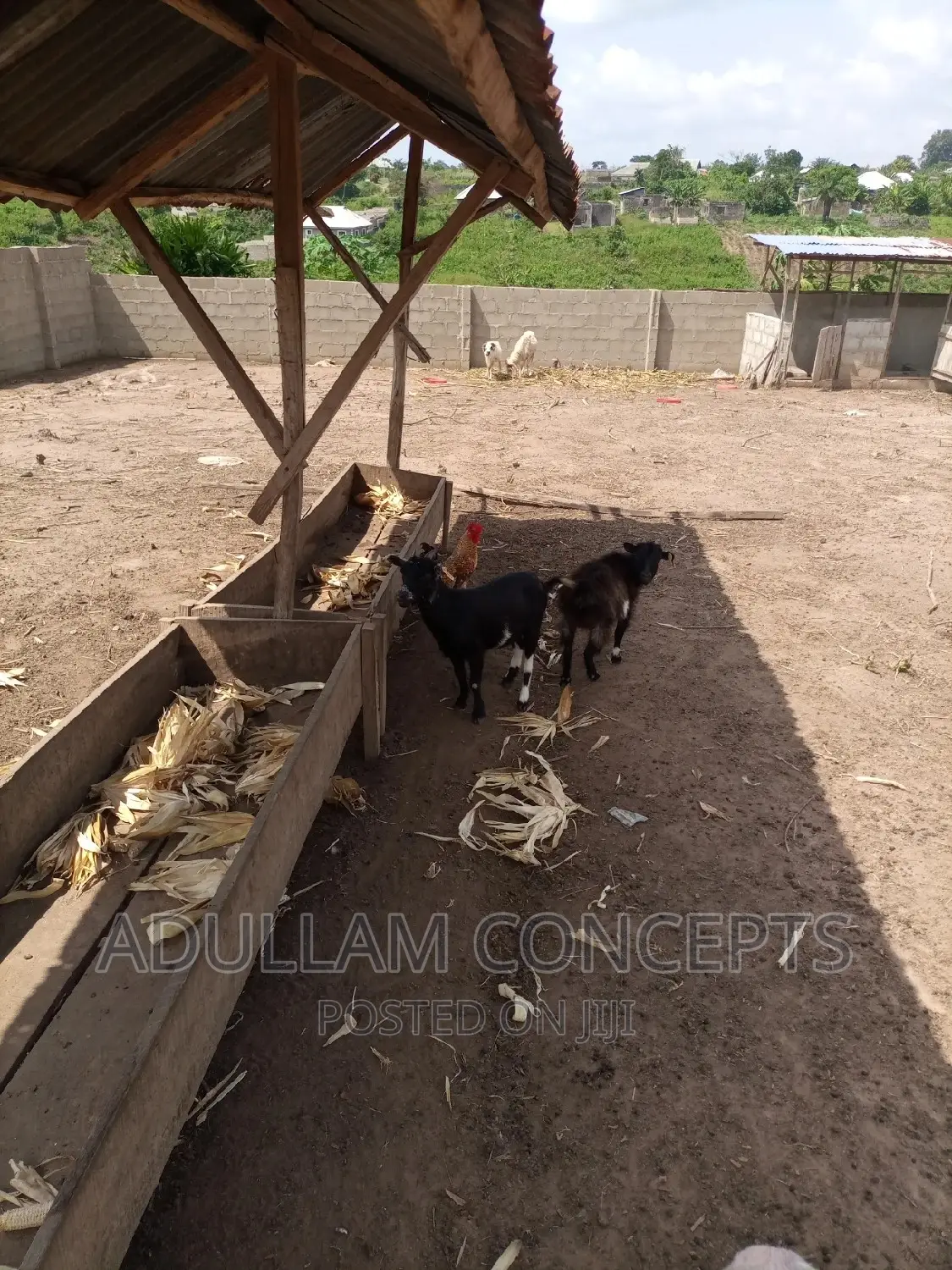Residential Land