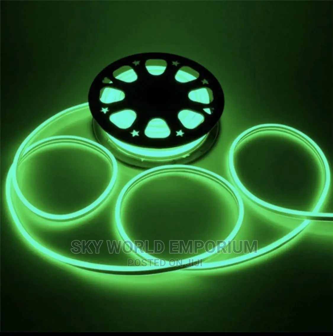 Neon Rope Light