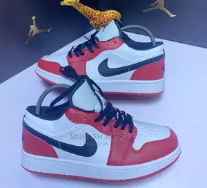 Nike Sb Sneaker