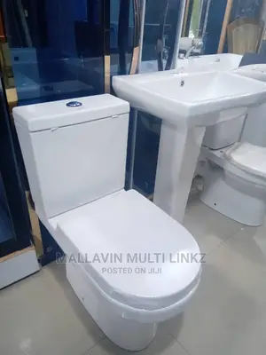 Big Toilet Seat