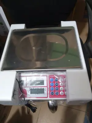 Original Camry Scale 30kg