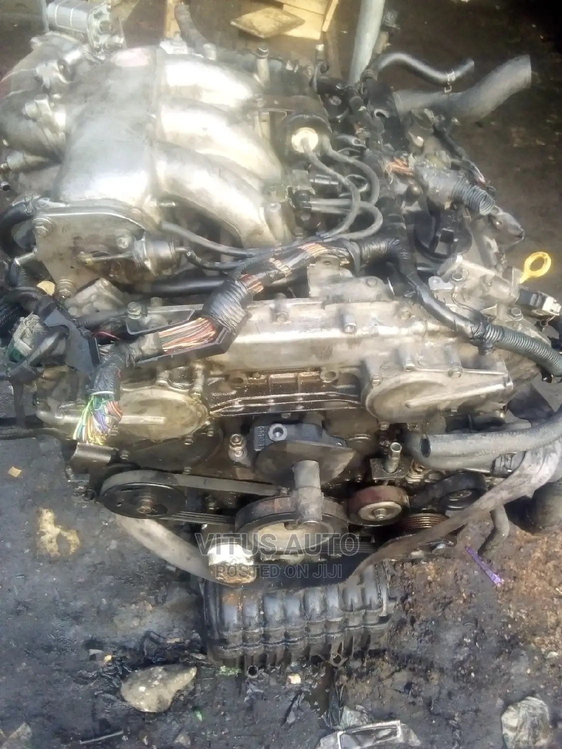 Murano Engine