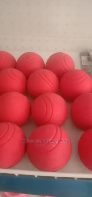 Training Balls